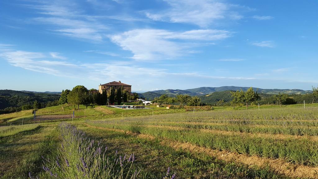 Locanda Cugnanello Anqua Bagian luar foto